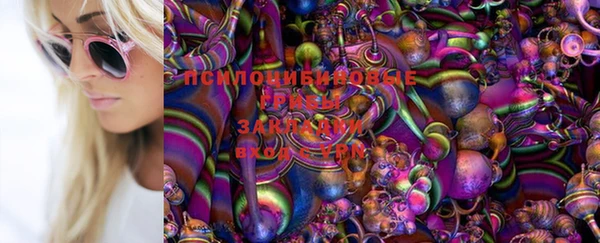 хмурый Алексеевка