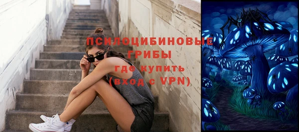 хмурый Алексеевка
