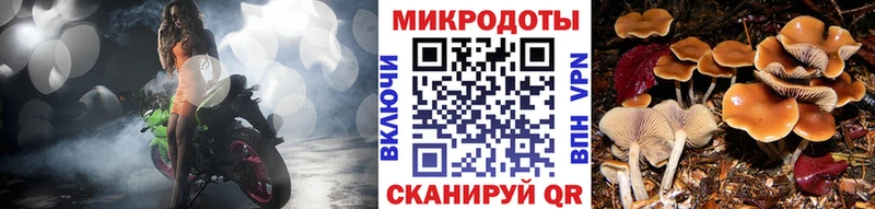 цены наркотик  Асино  Псилоцибиновые грибы Cubensis 
